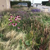 Showtuin Aartselaar overzicht najaar Showtuin rreac04 Publiek Aartselaar overzicht najaar